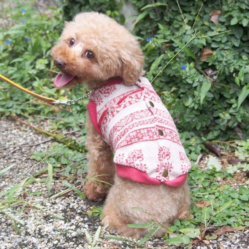 バックオープンベスト / 愛犬のための犬服、ペット服の型紙通販 ...