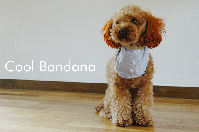 無料の犬服型紙・作り方ダウンロード：犬のクールバンダナ / 愛犬の