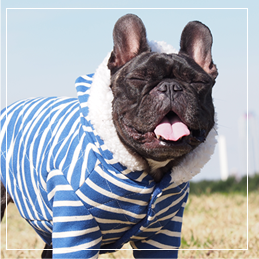 フレンチブルドッグサイズ拡充のご案内 愛犬のための犬服 ペット服の型紙通販 作り方 教室 Milla Milla